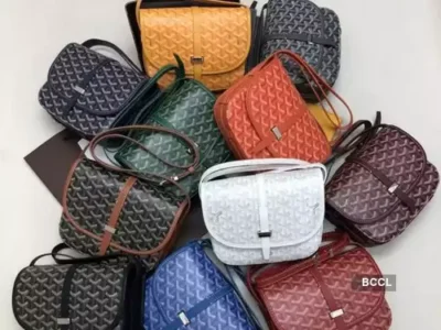 Goyard-Bag
