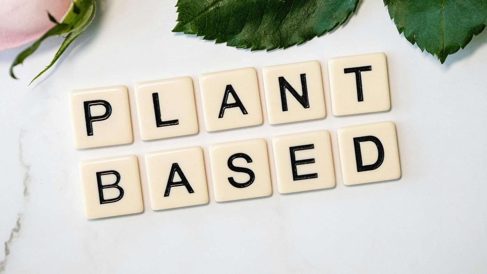 The words 'Plant Based' spelled out with letter tiles on a white surface, with green leaves and a hint of a pink flower in the background.